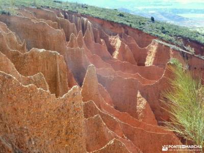 Cárcavas Alpedrete de la Sierra y Cerro Negro; viajes senderismo madrid excursiones desde un dia